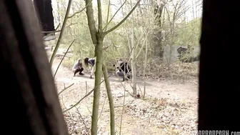 Psychopath In A Mask Attacks The Asses Of Chicks From A Noisy Company